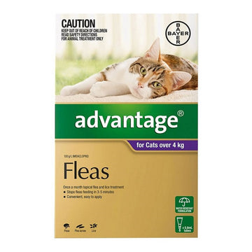 Advantage Flea Treatment For Large Cats Over 4kg Advantage